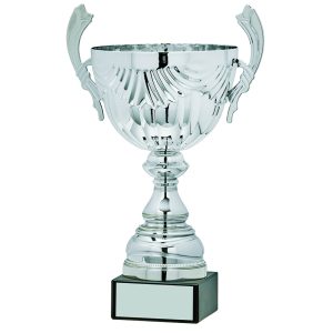 Silver Presentation Cups with Handles