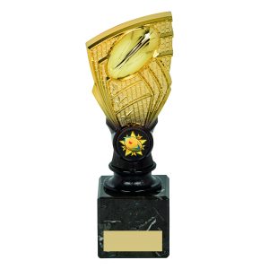 Gold/Black Rugby Shard Trophies