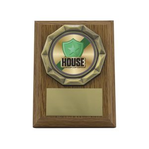Wood Plaque - House Green