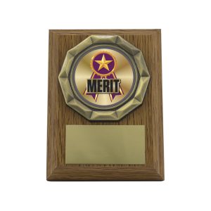 Wood Plaque - Merit