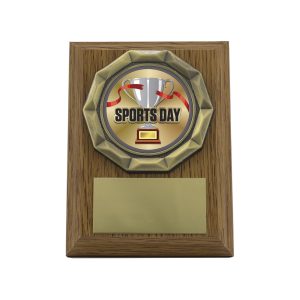 Wood Plaque - Sports Day