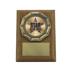 Wood Plaque - Star of the Week
