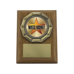 Wood Plaque - Well Done