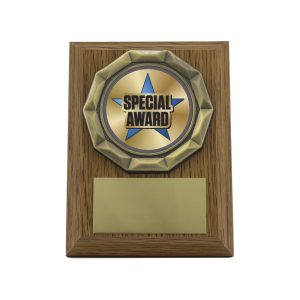 Wood Plaque - Special Award