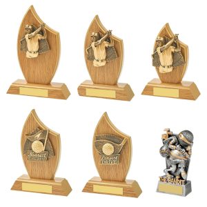 x 6 Assorted Golf Awards