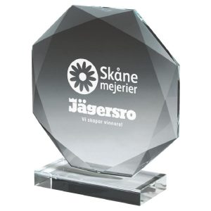 Crystal Octagon Award (In Presentation Case)