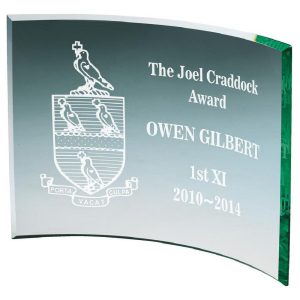 Jade Curve Glass Award