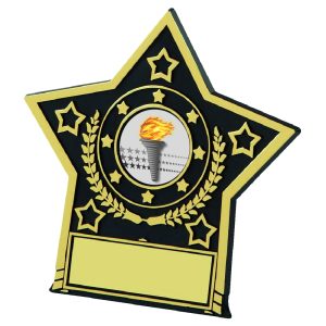 Black Plastic Star Plaque