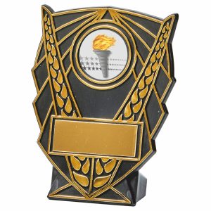 Black Plastic V Shield Award
