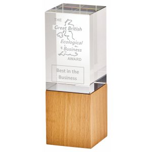 Glass Block with Wooden Base