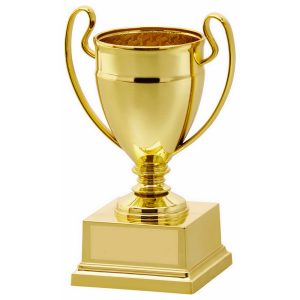 Silver Mini Cups Award
