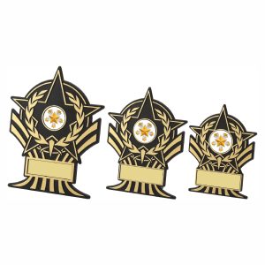 Black Plastic Star Award