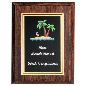 Presentation Corporate Plaque with Colour Print