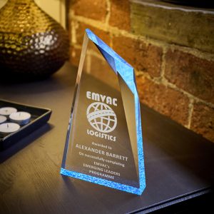 Acrylic Stand Award - Red Tint