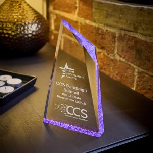 Acrylic Stand Award - Purple Tint